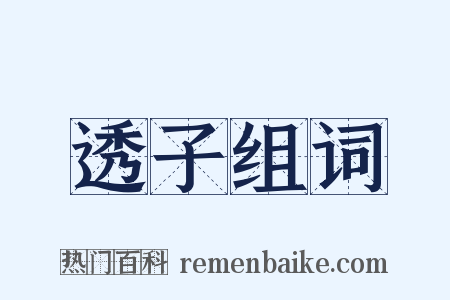 透子组词是什么意思的图片